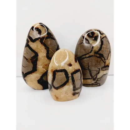 🌕✨ Septarian Free Form – Earth Energy and Ancient Wisdom 🌍💛 - Free Forms