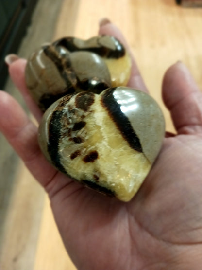 💛🤎 Septarian Hearts (approx. 2’’) – Nurturing Protection and Ancient Wisdom! 🤎💛 - Carvings