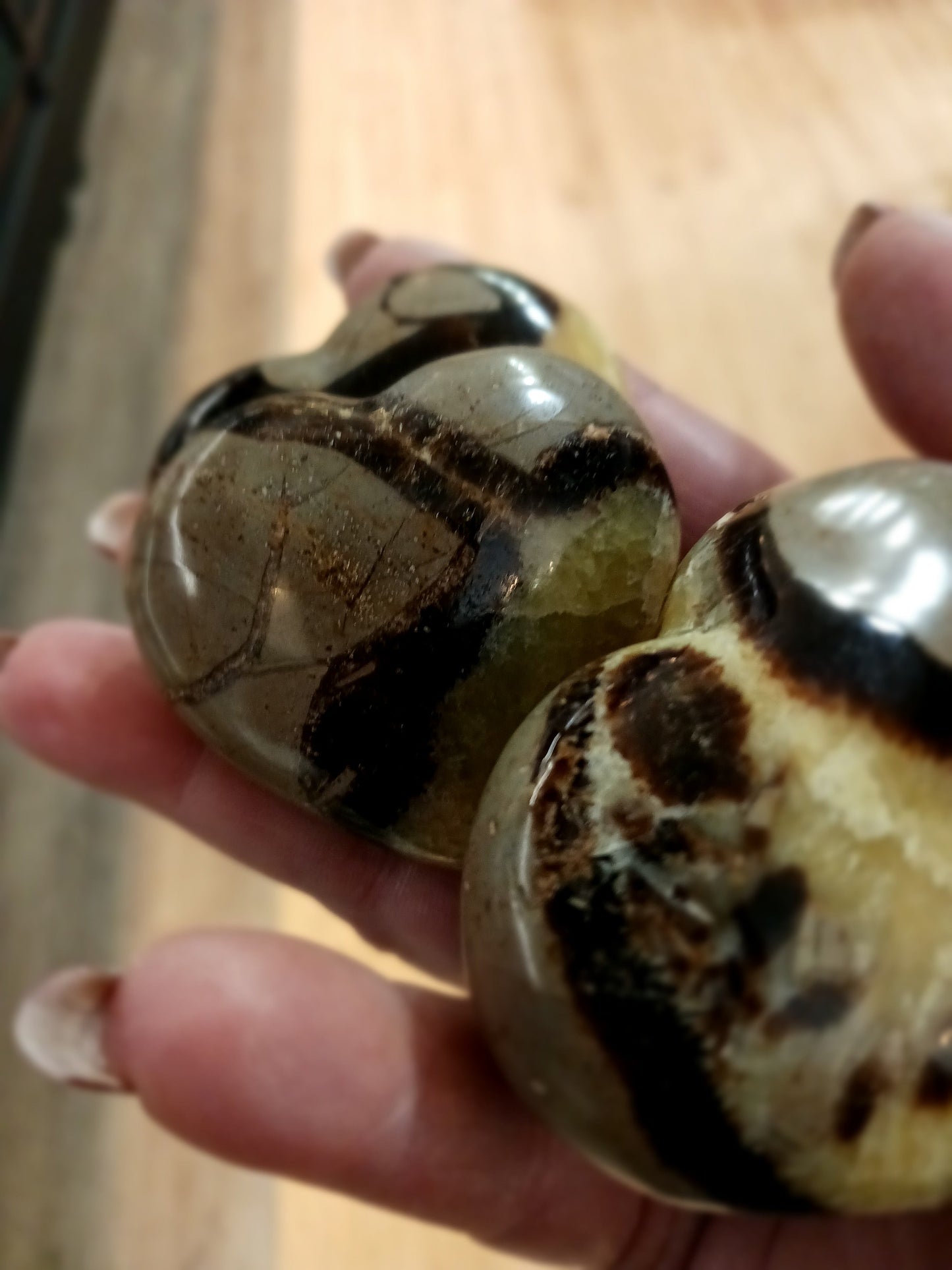 💛🤎 Septarian Hearts (approx. 2’’) – Nurturing Protection and Ancient Wisdom! 🤎💛 - Carvings