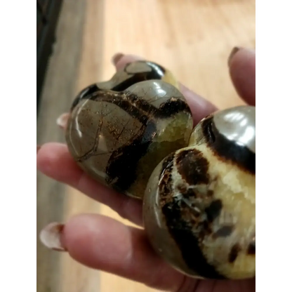 💛🤎 Septarian Hearts (approx. 2’’) – Nurturing Protection and Ancient Wisdom! 🤎💛 - Carvings