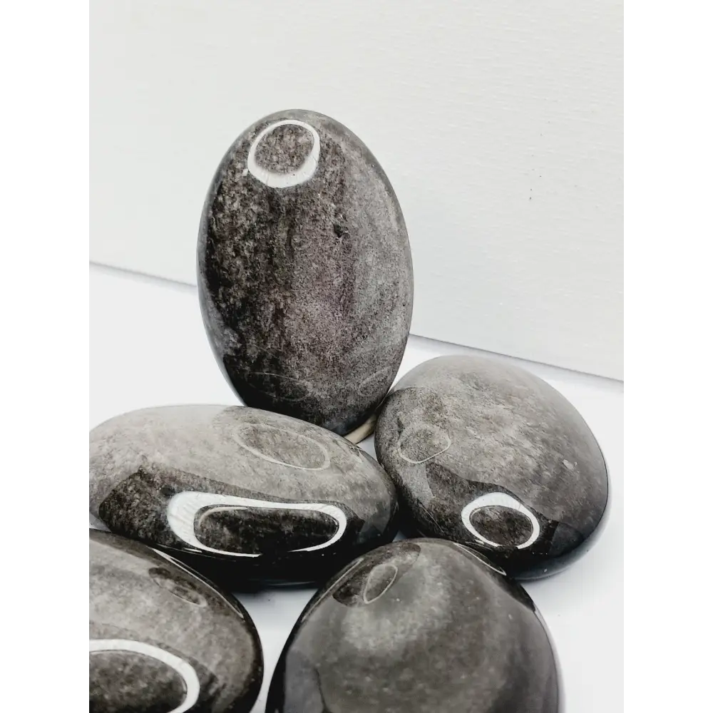 🌟🖤 Silver Sheen Obsidian Palmstone – Reflection and Protection ✨ - PALM