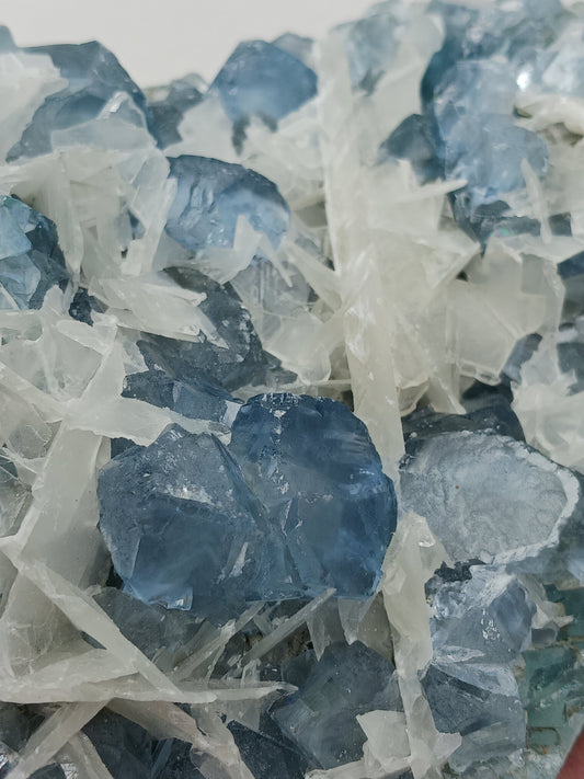 Sky blue fluorite with creamy calcite specimen, 4 x 5 inches, featuring unique blue and white patterns, displayed on a white background.