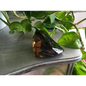 🌫️✨ Smokey Quartz Free Form – Grounding and Protection ✨🖤 - 4 - Free Forms