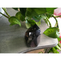 🌫️✨ Smokey Quartz Free Form – Grounding and Protection ✨🖤 - 5 - Free Forms