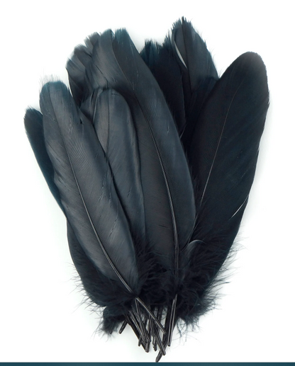 Ethically sourced black goose feather, approximately 8 inches long, with smooth, glossy texture, displayed on a white background. Perfect for smudging, purification, and sacred rituals.