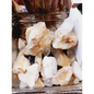 ✨🤍 Spirit Quartz Cluster – Unity Amplification and Spiritual Growth 🌟 - Large - Specimens