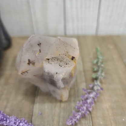 Super Seven Specimens (MELODY STONE) - 3-2 - Specimens