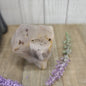 Super Seven Specimens (MELODY STONE) - 3-2 - Specimens