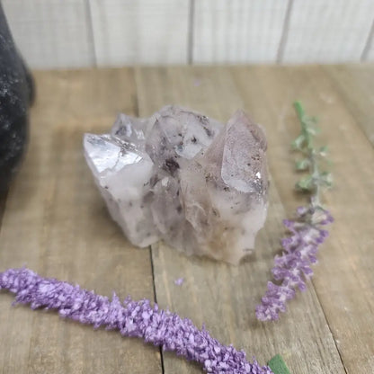 Super Seven Specimens (MELODY STONE) - 2-1 - Specimens