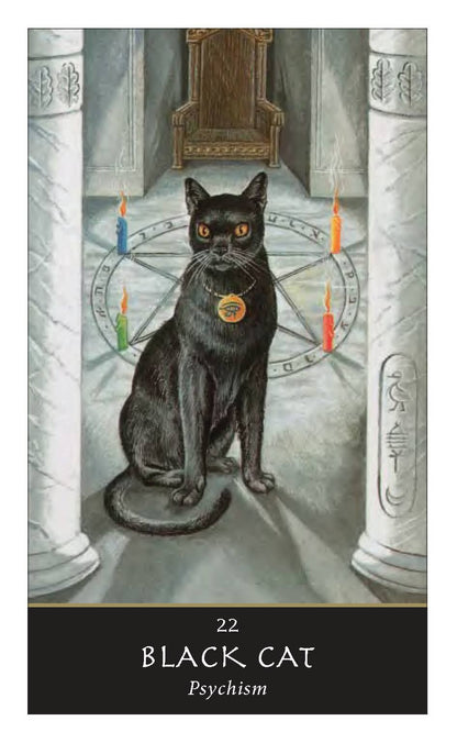 The Witches’ Oracle: (Book & Cards) - Tarot Decks & Divination