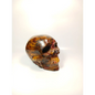 🦁💀 Tiger Iron Skull 4 Inch – Strength and Creative Power 💀🦁 - Carvings