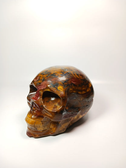🦁💀 Tiger Iron Skull 4 Inch – Strength and Creative Power 💀🦁 - Carvings