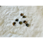 Tiger’s Eye Mini Spheres TOP QUALITY - Spheres