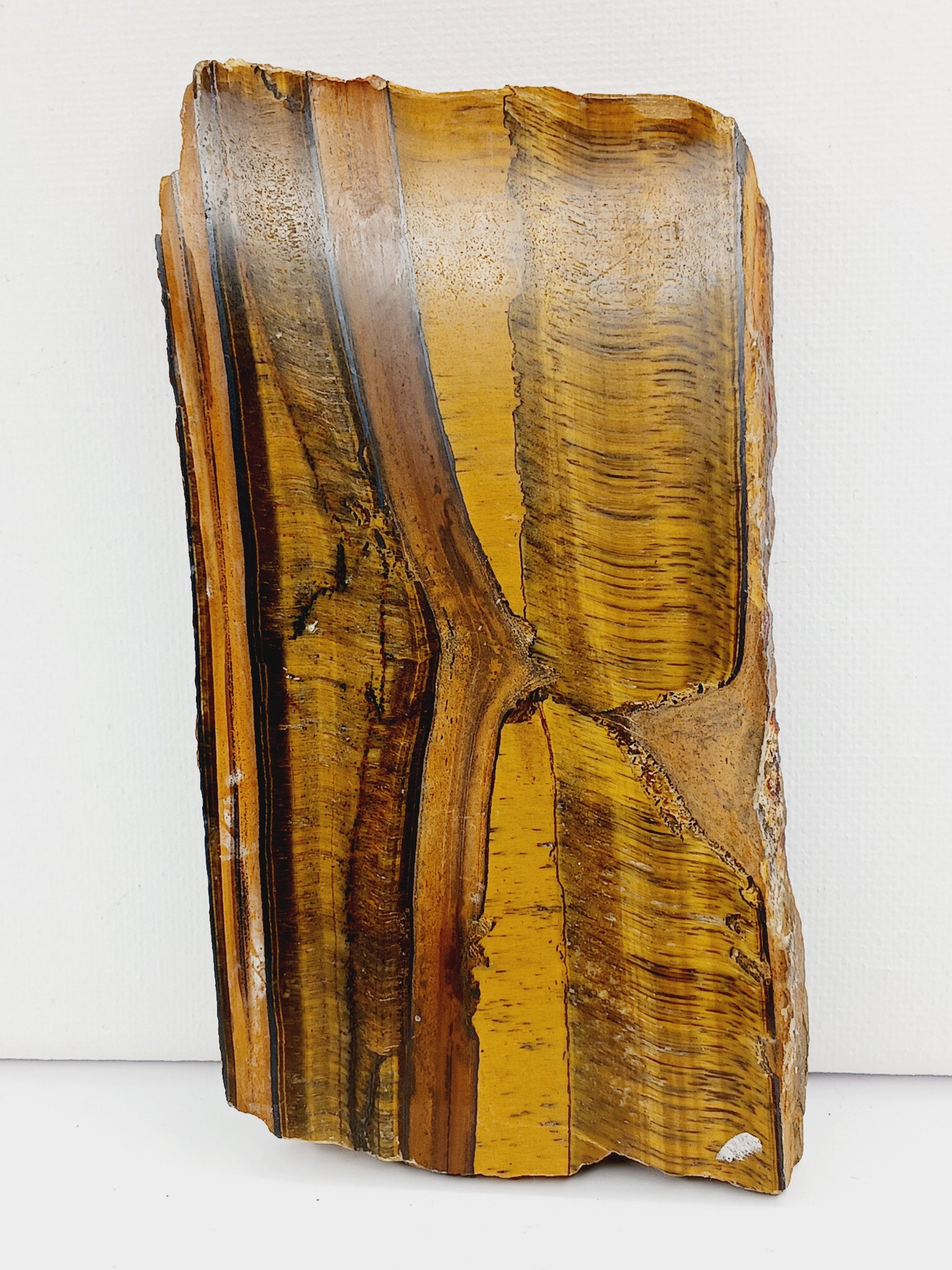 🐅✨ Tigers Eye Slab – Protection Confidence and Manifestation 🌟 - Specimens