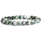 🌳✨ Tree Agate Bracelet 8mm – Growth Stability and Peace 🤍 - OMC BRACELETS