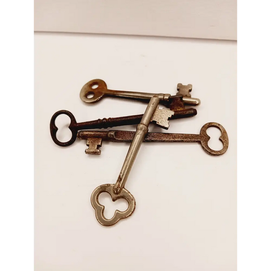 🗝️✨ Vintage Skeleton Keys – Unlock Magic Mystery and Possibility 🌙