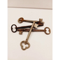 🗝️✨ Vintage Skeleton Keys – Unlock Magic Mystery and Possibility 🌙