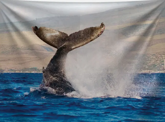 Whale Tale Tapestry 59 x 51 - Tapestry
